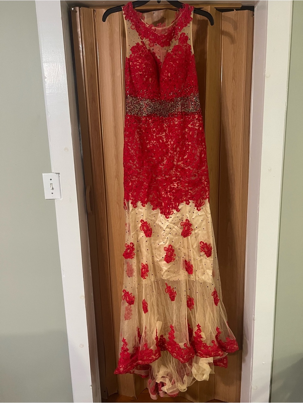 Dave & Johnny Red and Gold Lace Appliqué Evening Gown